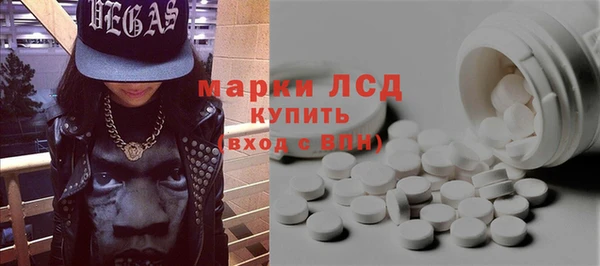 сатива Бородино