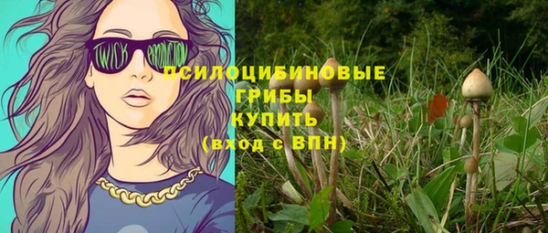 сатива Бородино