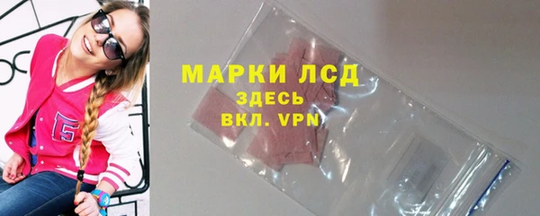 сатива Бородино