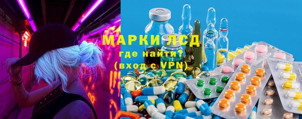 сатива Бородино