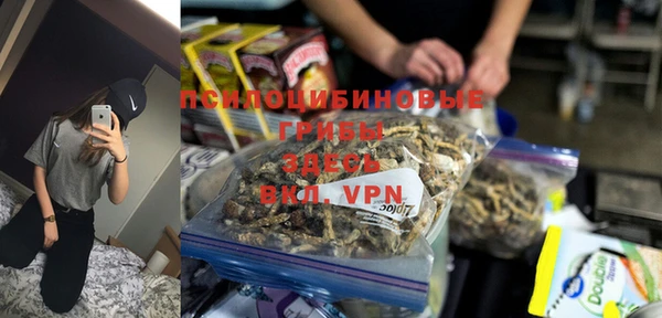 метамфетамин Богданович