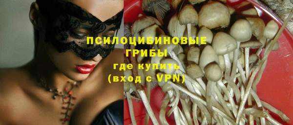 сатива Бородино