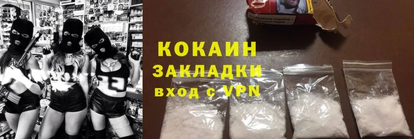 сатива Бородино