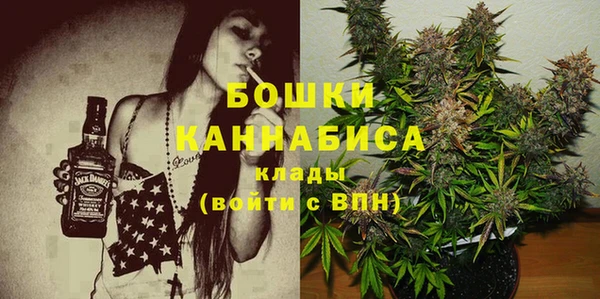 сатива Бородино